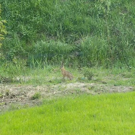 Landliebe Prázdninový dům *