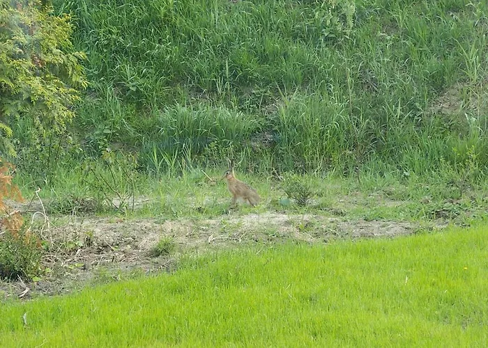 Landliebe Дом отдыха *